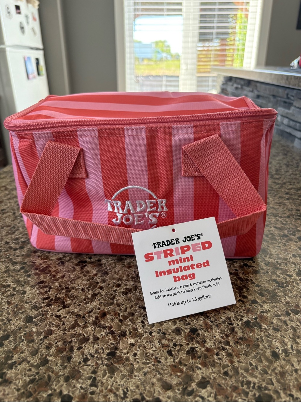 Trader Joe's Pink Striped Mini Insulated Bag